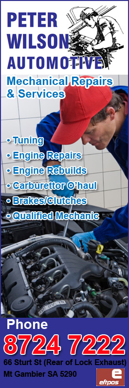 Peter Wilson Automotive