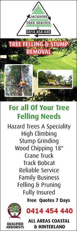 Jackson Tree Services