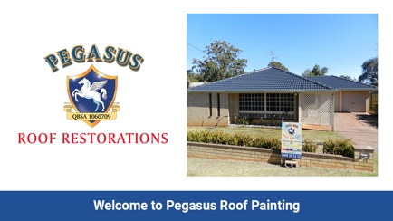 Pegasus Roof Painting Hero Image