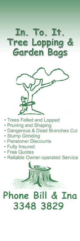 In To It Tree Lopping