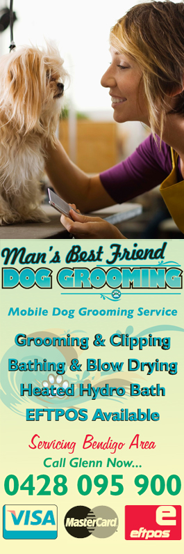 Man's Best Friend Dog Grooming