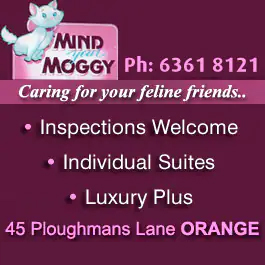 Mind Your Moggy