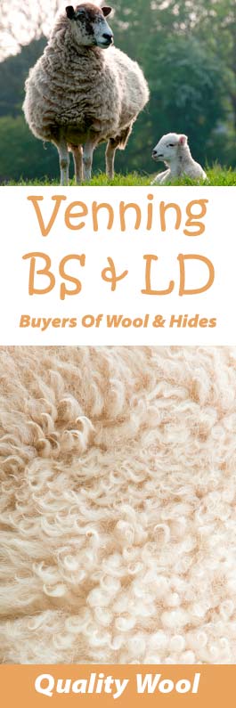 Venning B S & L D