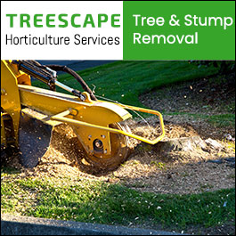 TREESCAPE Horticulture Services