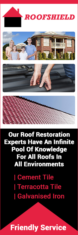 Roofshield