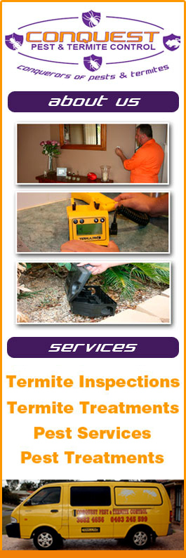 Conquest Pest & Termite Control