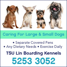 TSU Lin Boarding Kennels