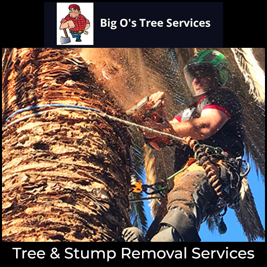 Big Os Slashing Services