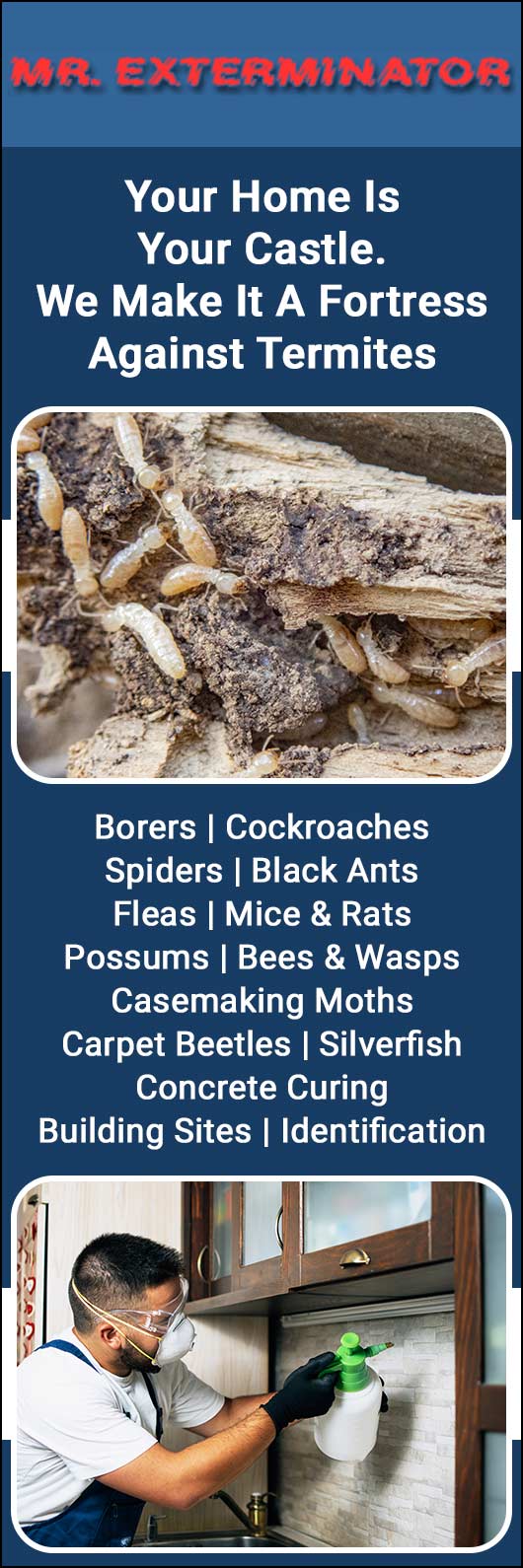 Mr Exterminator