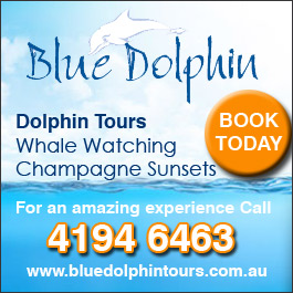 Blue Dolphin Marine Tours