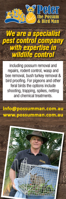 Peter The Possum & Birdman Pty Ltd