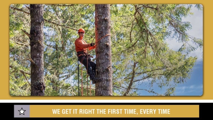 Specialised Tree Services Hero Image