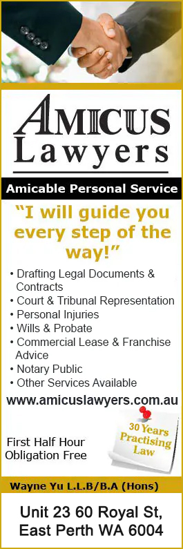 Amicus Lawyers