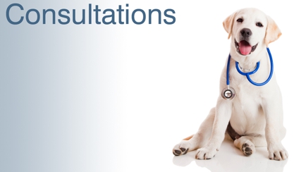 Glenvale Veterinary Clinic Hero Image
