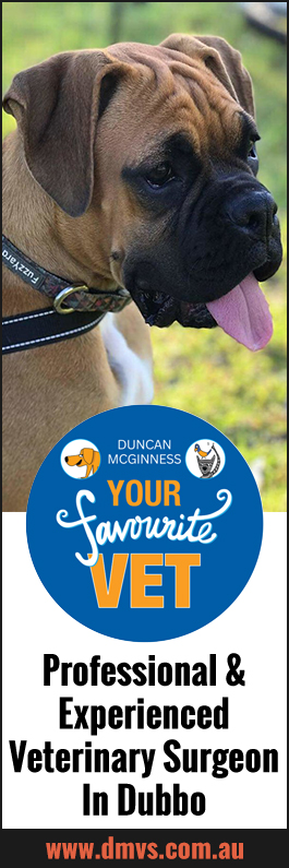 Duncan McGinness Veterinary Surgeon