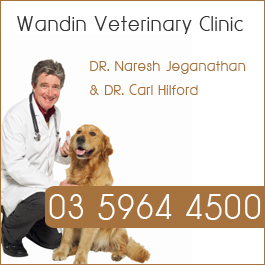 Wandin Veterinary Clinic