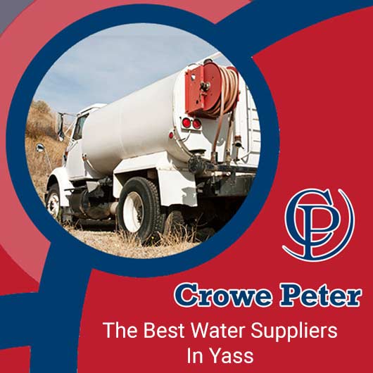 Peter Crowe