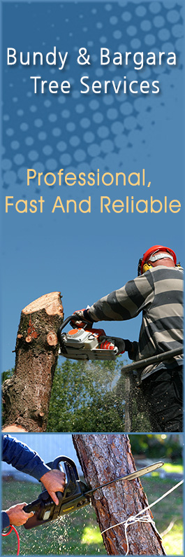 Bundy & Bargara Tree Service
