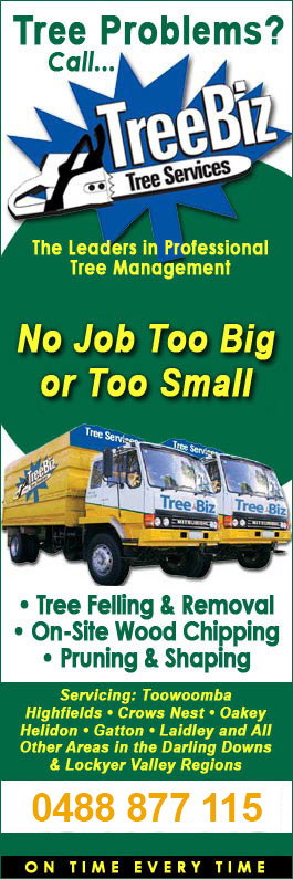 TreeBiz Tree Services