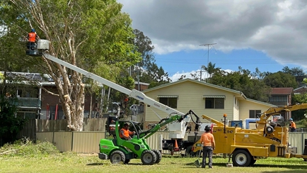 True Blue Tree and Stump Removal Hero Image