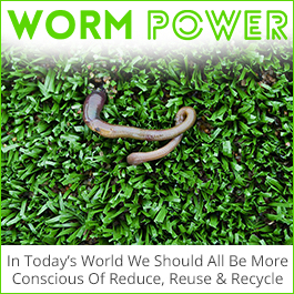 Worm Power