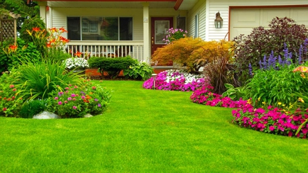 Bundaberg Turf Supplies Hero Image