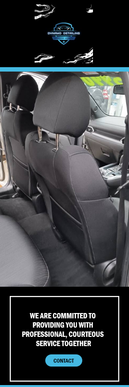 Dynamo Detailing