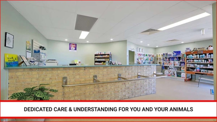 North Bundaberg Vet Surgery Hero Image