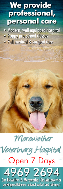 Merewether Veterinary Hospital