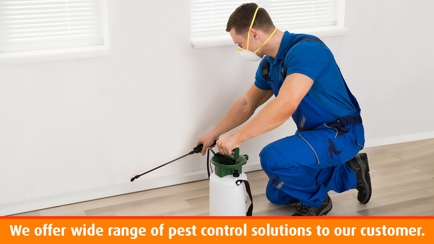 Central West Pest Management Hero Image