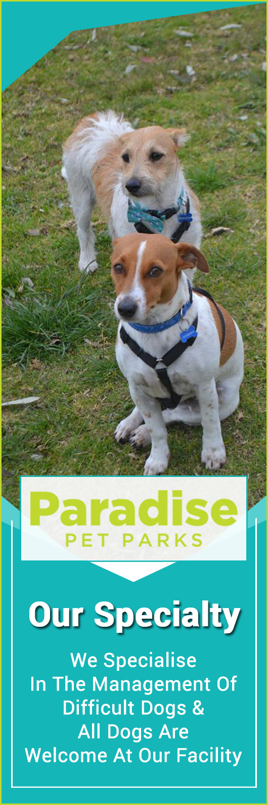 Paradise Pet Parks