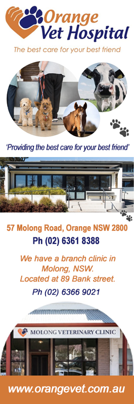 Orange Veterinary Hospital