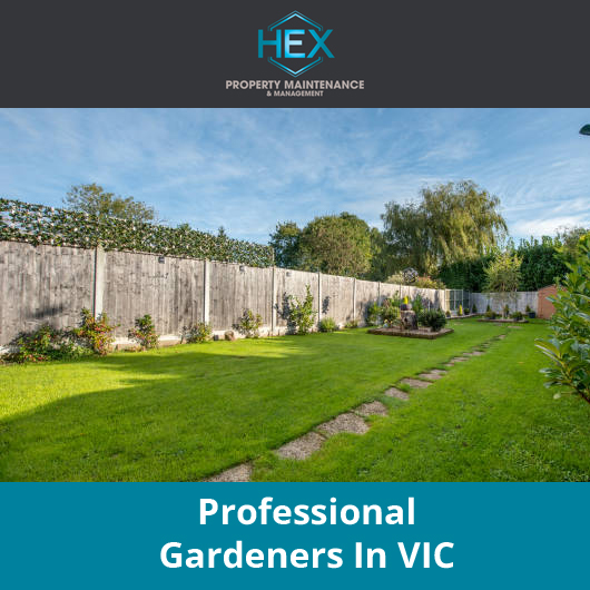 HEX Property Maintenance & Management