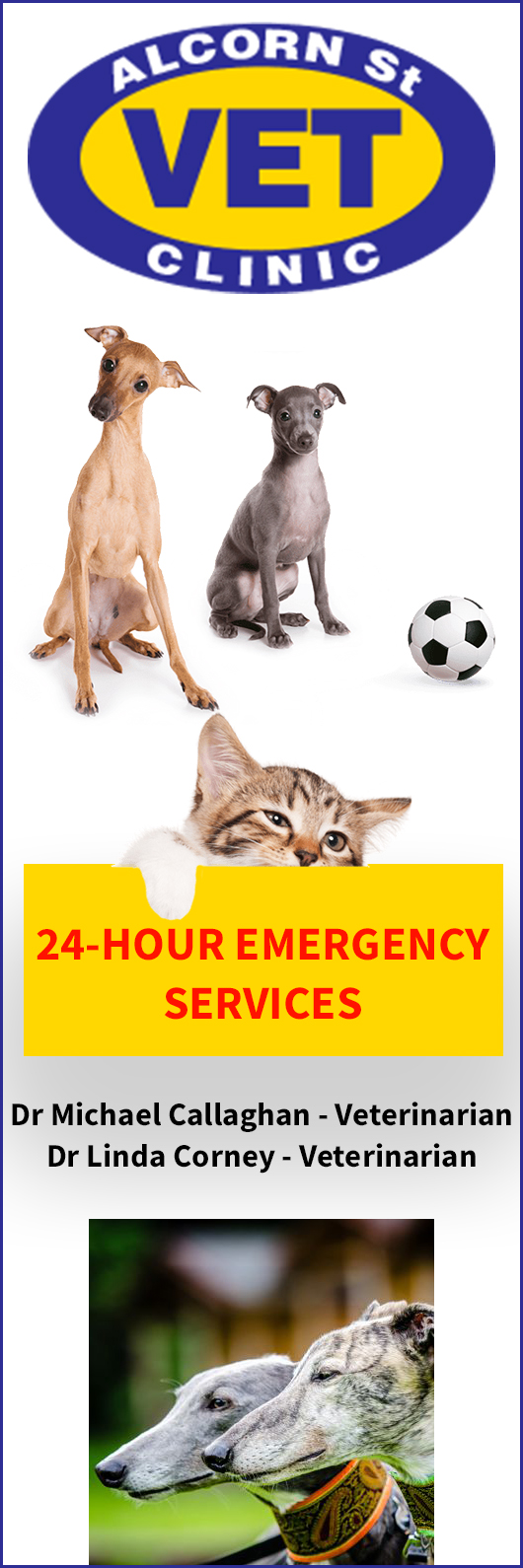 Alcorn Street Veterinary Clinic