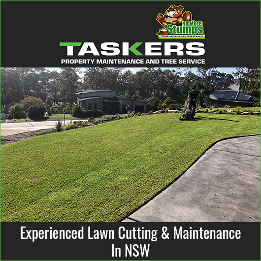 Tasker Property Maintenance & Tree Service