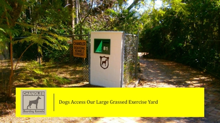 Chandler Boarding Kennels Hero Image