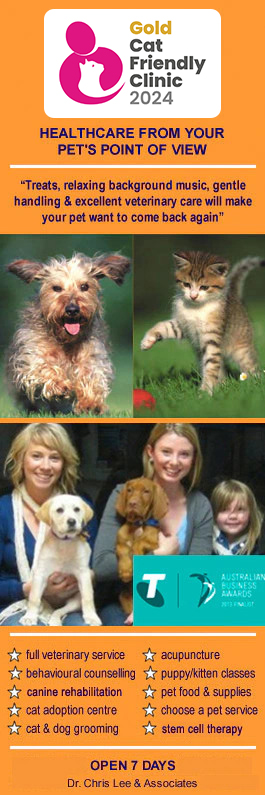 Pet Universe Veterinary Centre Broadview & Northgate
