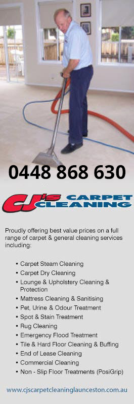 CJ's Cleaning Services