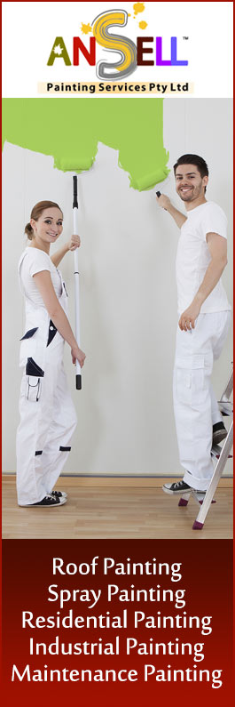 Ansell Painting Roof Painting & House Painter