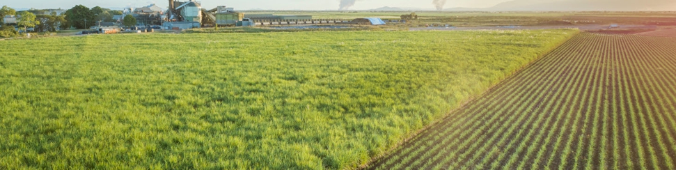Wilmar Sugar and Renewables - Kalamia Mill Hero Image