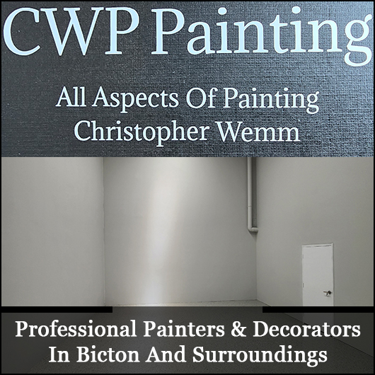 Chris Wemm Painting
