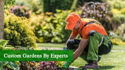 All About Gardens Hero Image