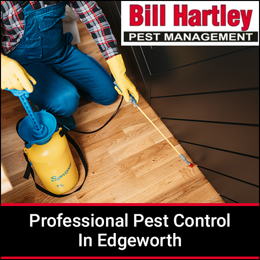 Bill Hartley Pest Management & Handyman Services