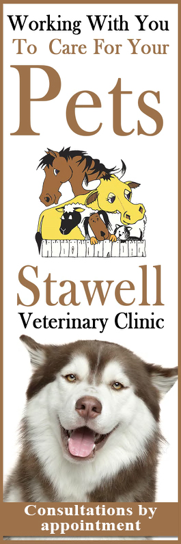 Stawell Veterinary Clinic
