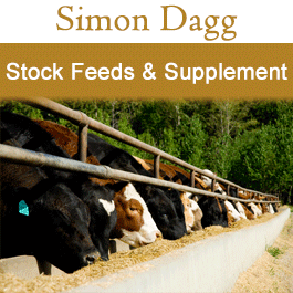 Simon Dagg