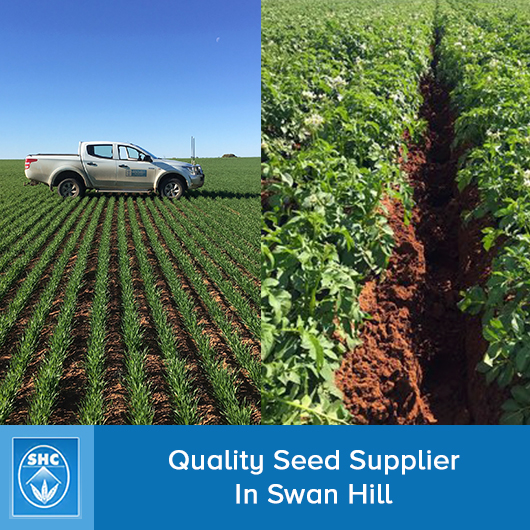 Swan Hill Chemicals Pty Ltd