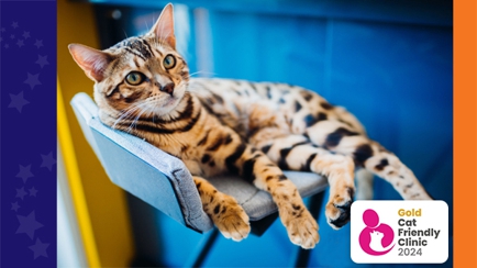 Pet Universe Veterinary Centre Broadview & Northgate Hero Image