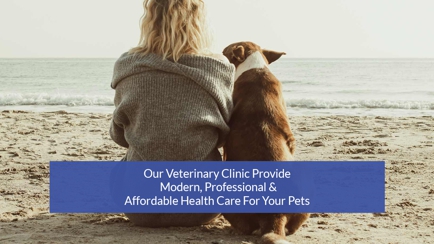 Melton Veterinary Clinic Hero Image