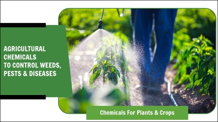 T&W Greenhouse Supplies PTY LTD Hero Image