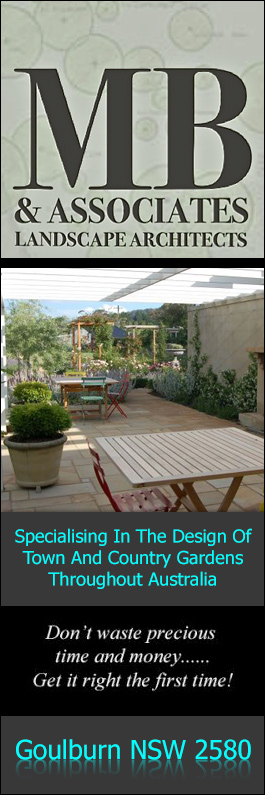 Michael Bligh & Associates